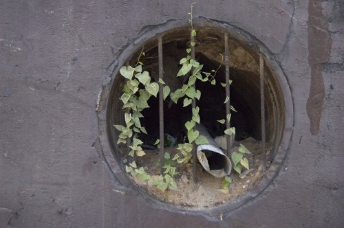 i love holes i love holes