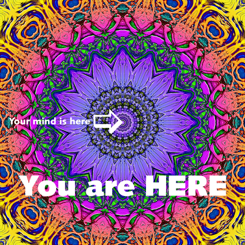 You are HERE You are HERE