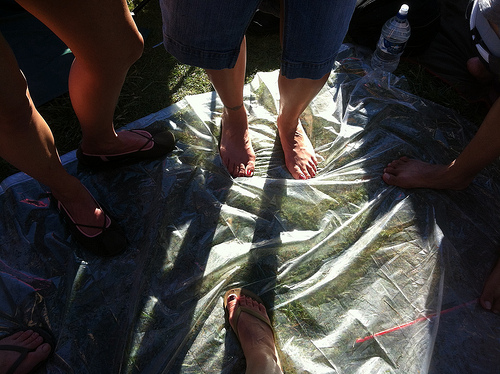 Tarp city! Tarp city!