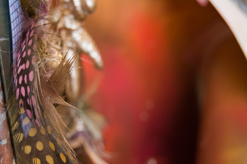 feather2